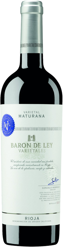 Baron De Ley Maturana | Satink Keukens